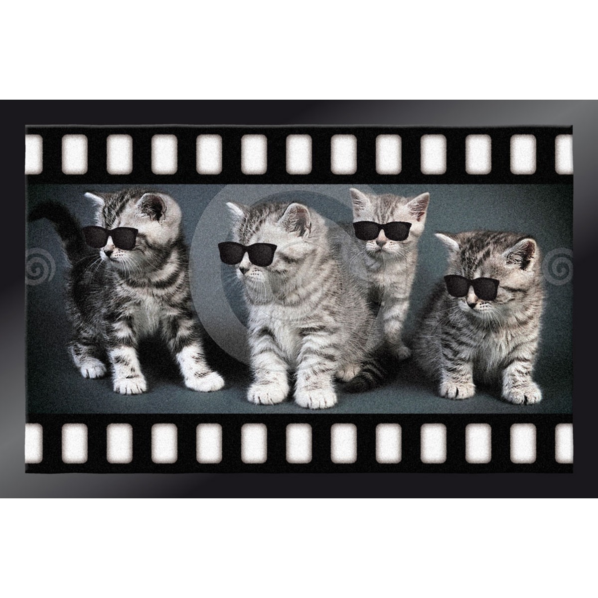 Tapis d'intérieur anti-poussière Decocity - 40 x 60 cm - Thème chatons et cinéma  - Multicolore