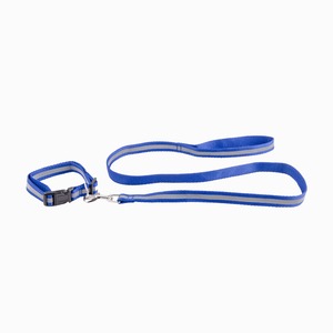 Laisse + collier réfléchissants - Bleu