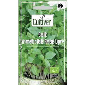 Basilic à repiquer Riviera bio - 1 sachet