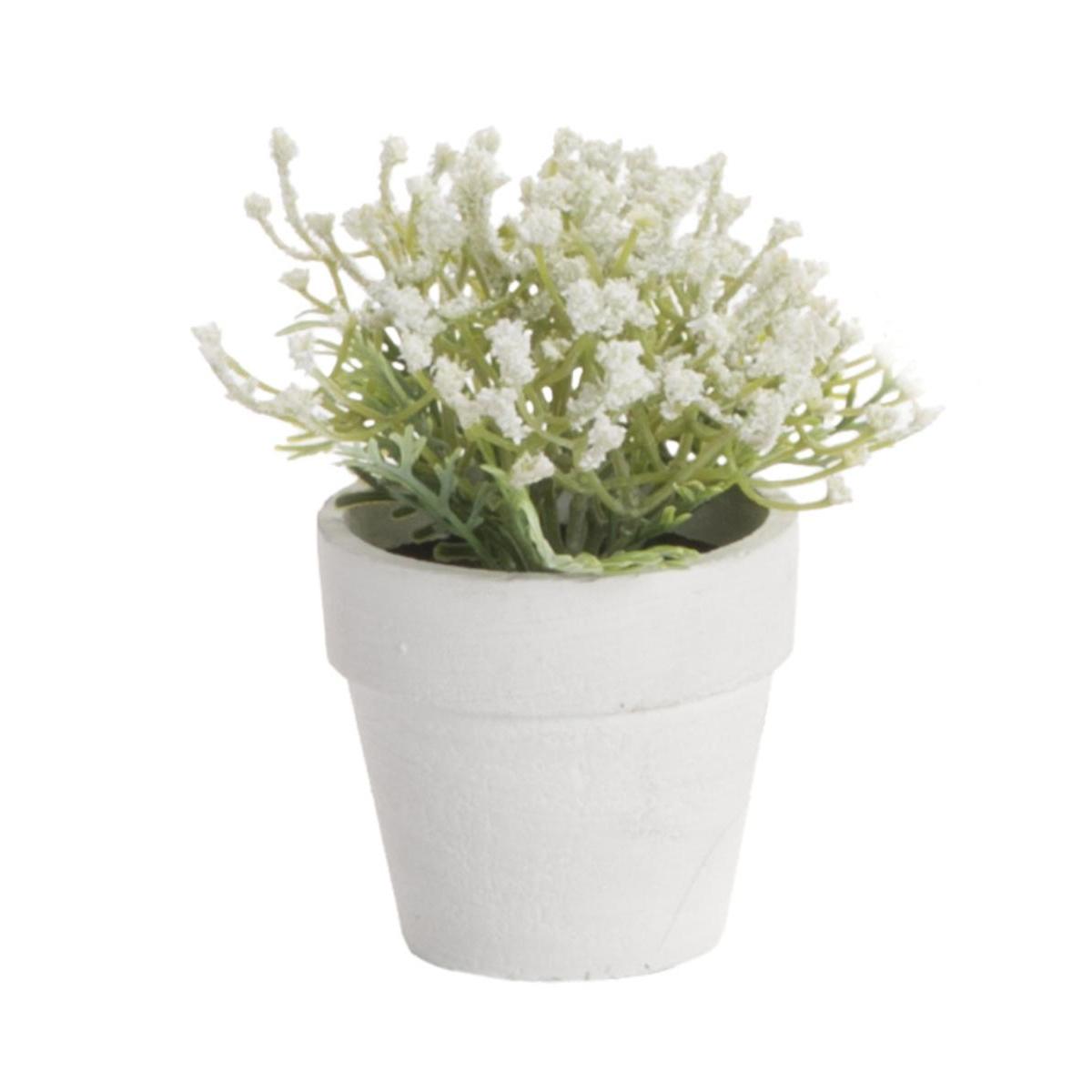 Pots de plantes d'intérieur de 20 cm, paquet de 6 pots de fleurs en  plastique à