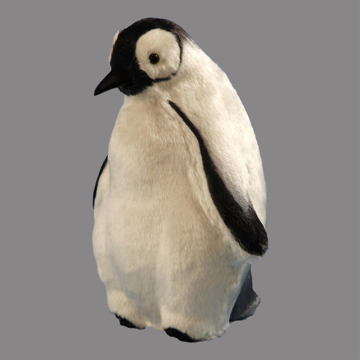 Bebe Pingouin 26 X 26 X 37 Cm Blanc Et Noir Animaux Et Sujets De Noel La Foir Fouille Bebe Pingouin 26 X 26 X 37 Cm Blanc Et Noir Animaux Et Sujets De Noel La Foir Fouille