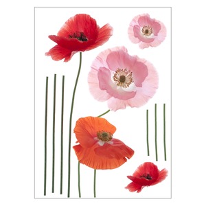 Sticker coloré Fleurs - 50 x 70 cm