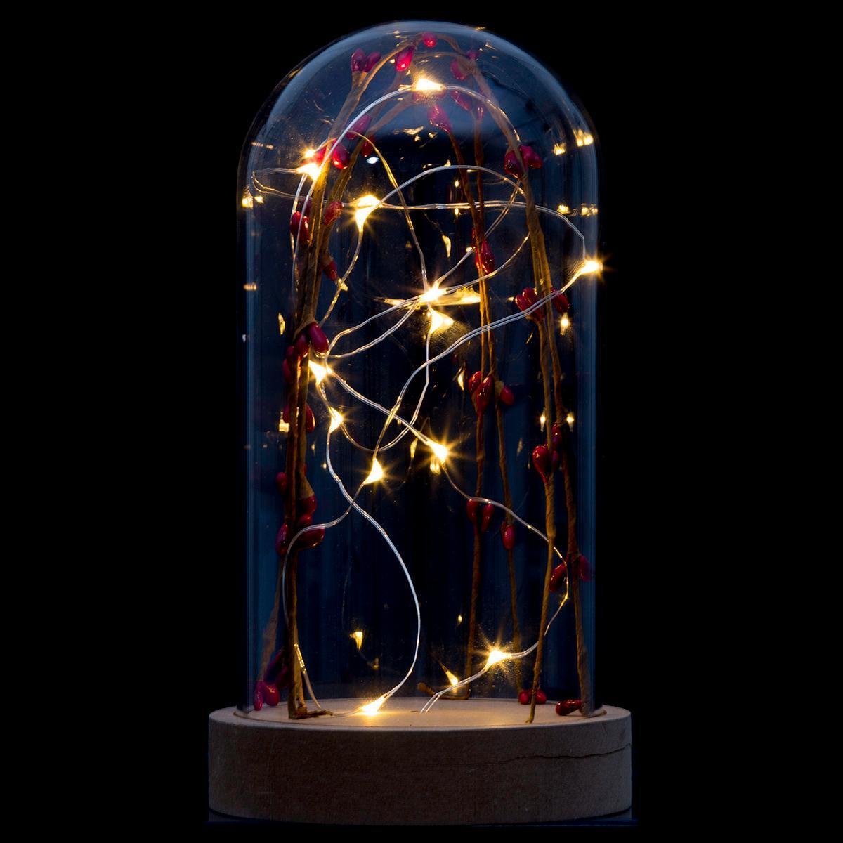 Cloche en verre avec guirande LED Cloche en verre avec guirande LED