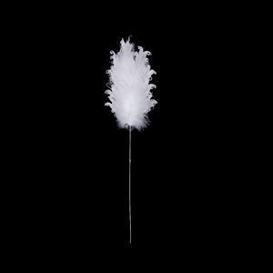 Tige plume - Plumes - H 70 cm - Blanc