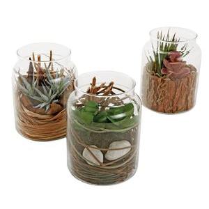 Succulentes en vase - Différents modèles