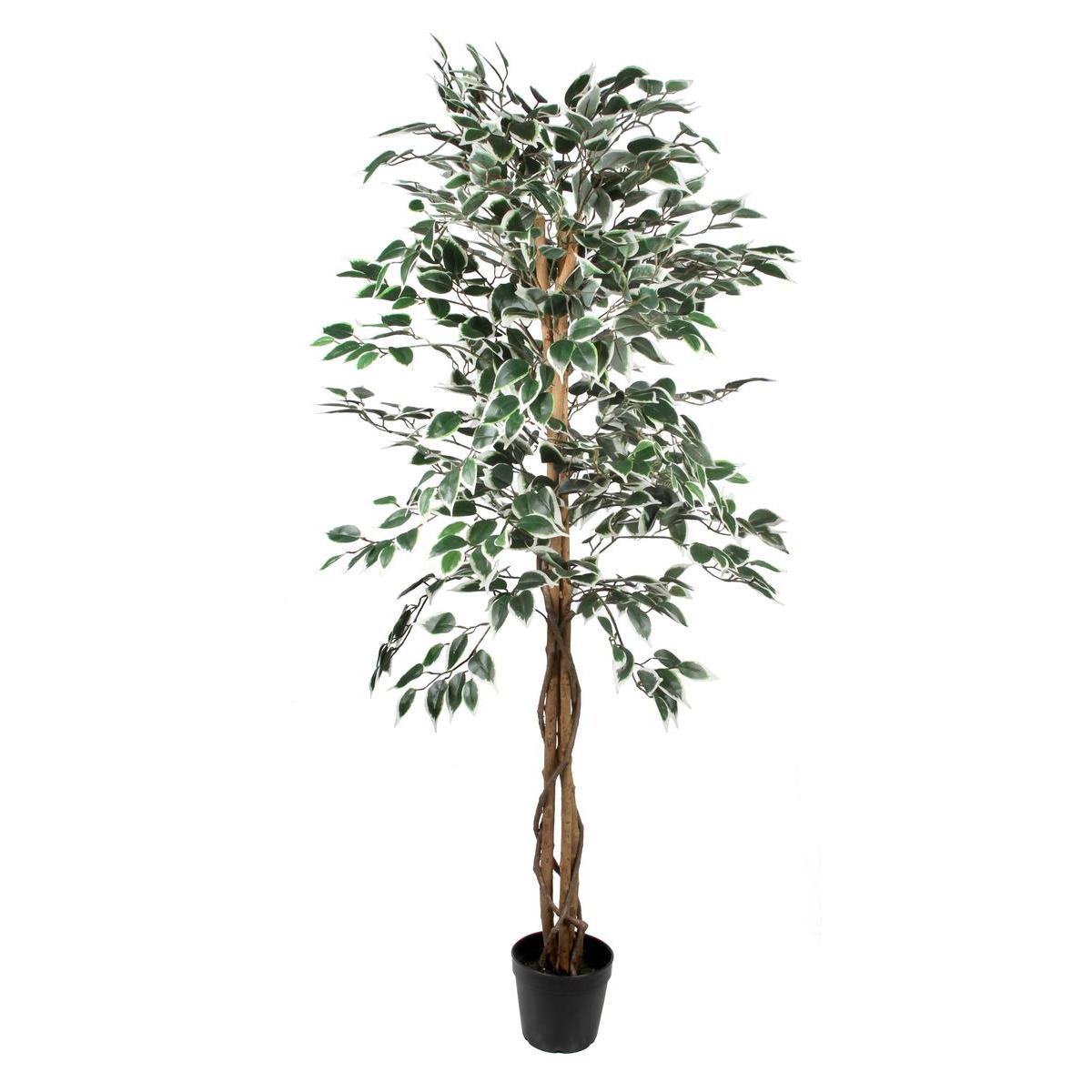 Ficus panache artificiel - H 150 cm Ficus panache artificiel - H 150 cm