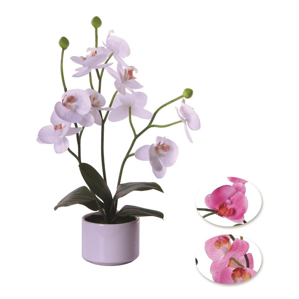 3 Orchidées en pot - Plastique, Céramique et Polyester - H 28 cm - Blanc Violet 3 Orchidées en pot - Plastique, Céramique et Polyester - H 28 cm - Blanc Violet