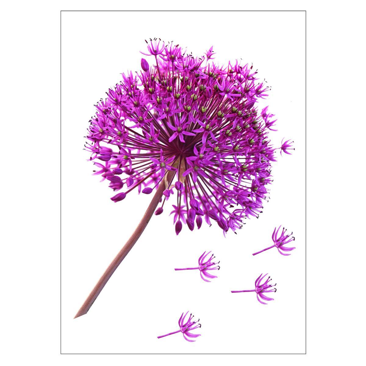 Stickers 3D floral - Papier et PVC - 50 x 70 cm - Multicolore Stickers 3D floral - Papier et PVC - 50 x 70 cm - Multicolore