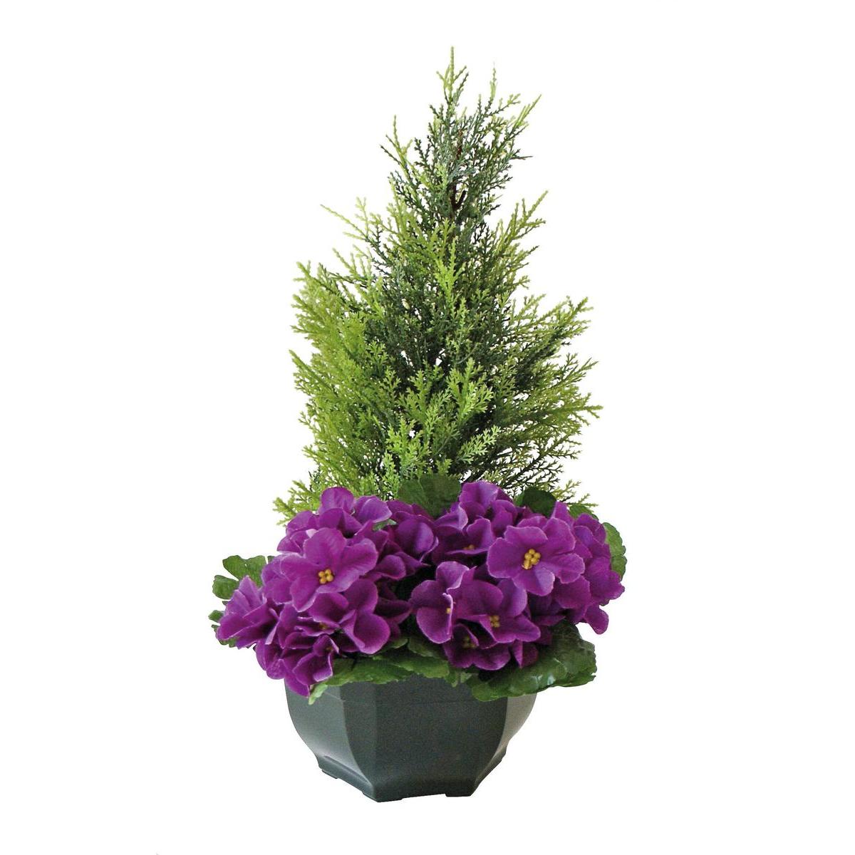 Coupe de cyprés et de violettes Coupe de cyprés et de violettes