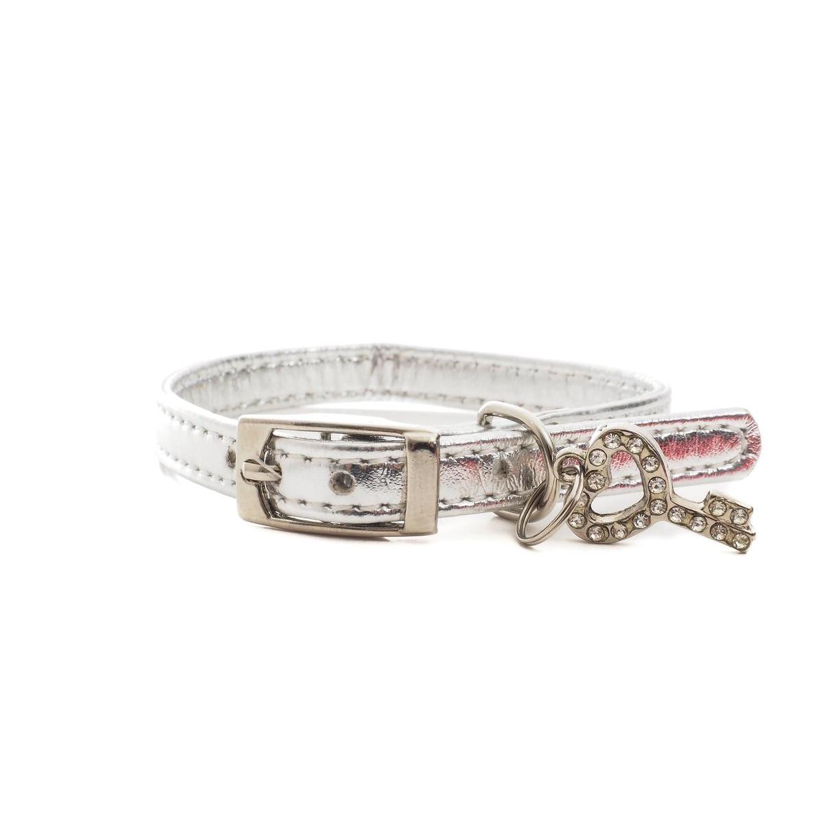 Collier Pour Chat L 30 Cm Laisses Colliers Et Harnais Pour Chats La Foir Fouille