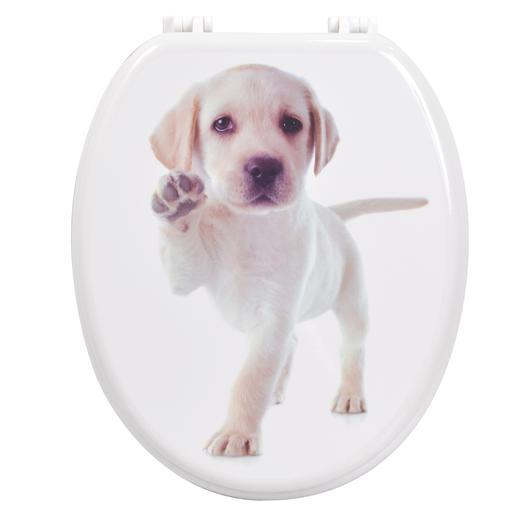 Abattant Wc Chiot Abattants Wc Et Accessoires La Foir Fouille