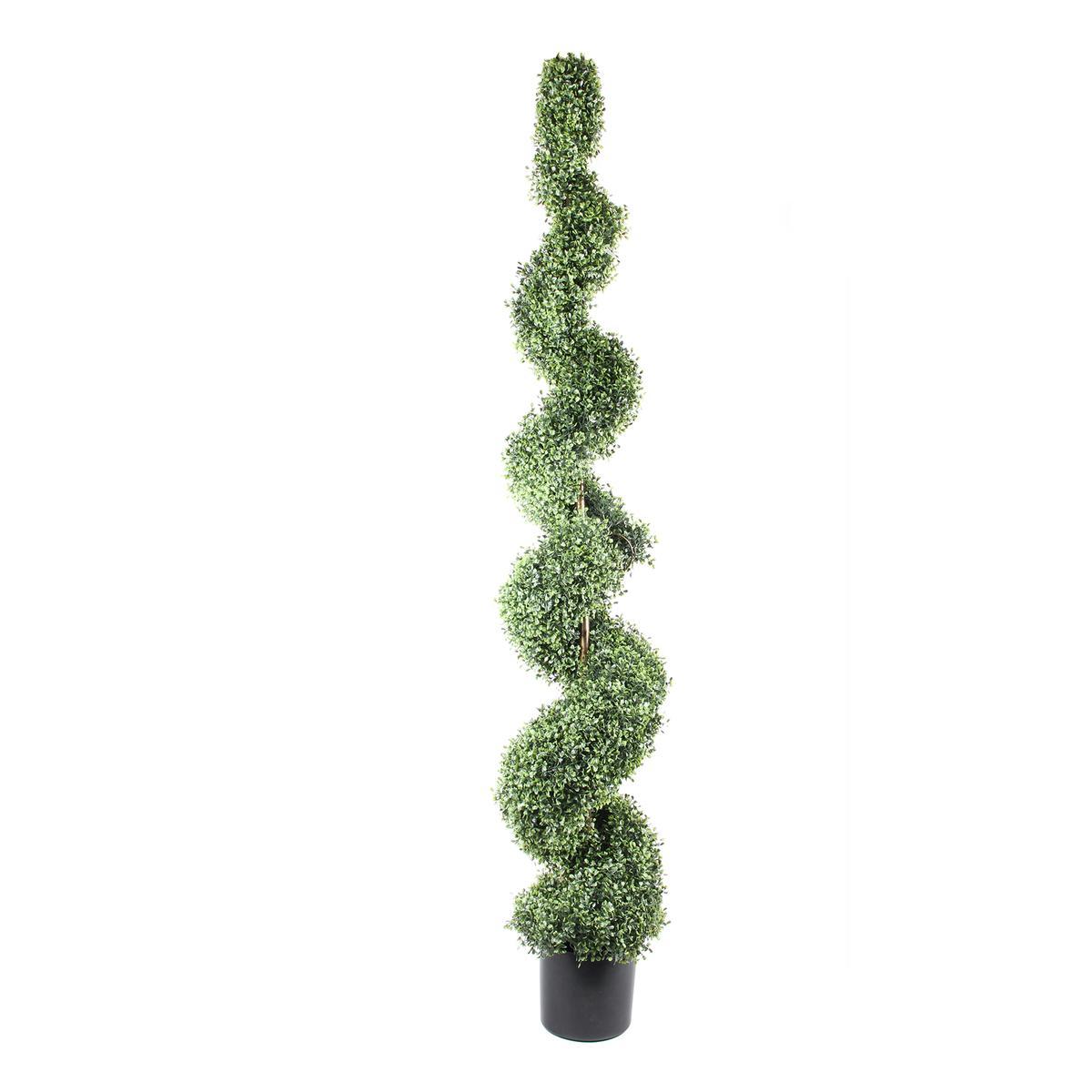 Topiaire buis spirale - H 180 cm Topiaire buis spirale - H 180 cm