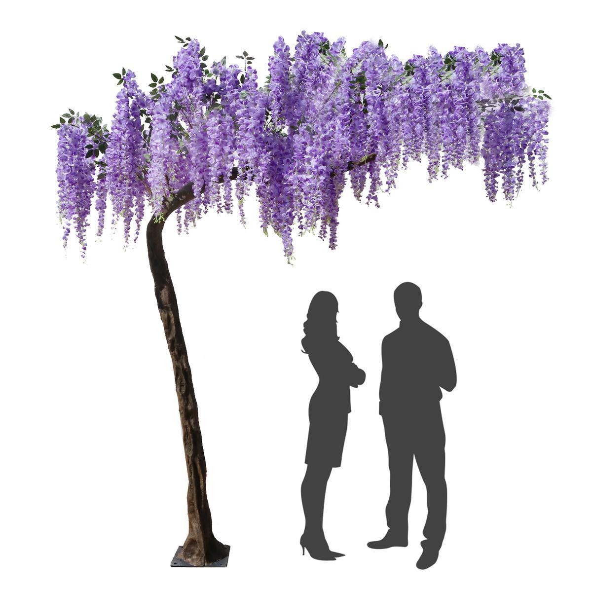 Arbre géant Glycine en fleurs - H 320 cm - Violet