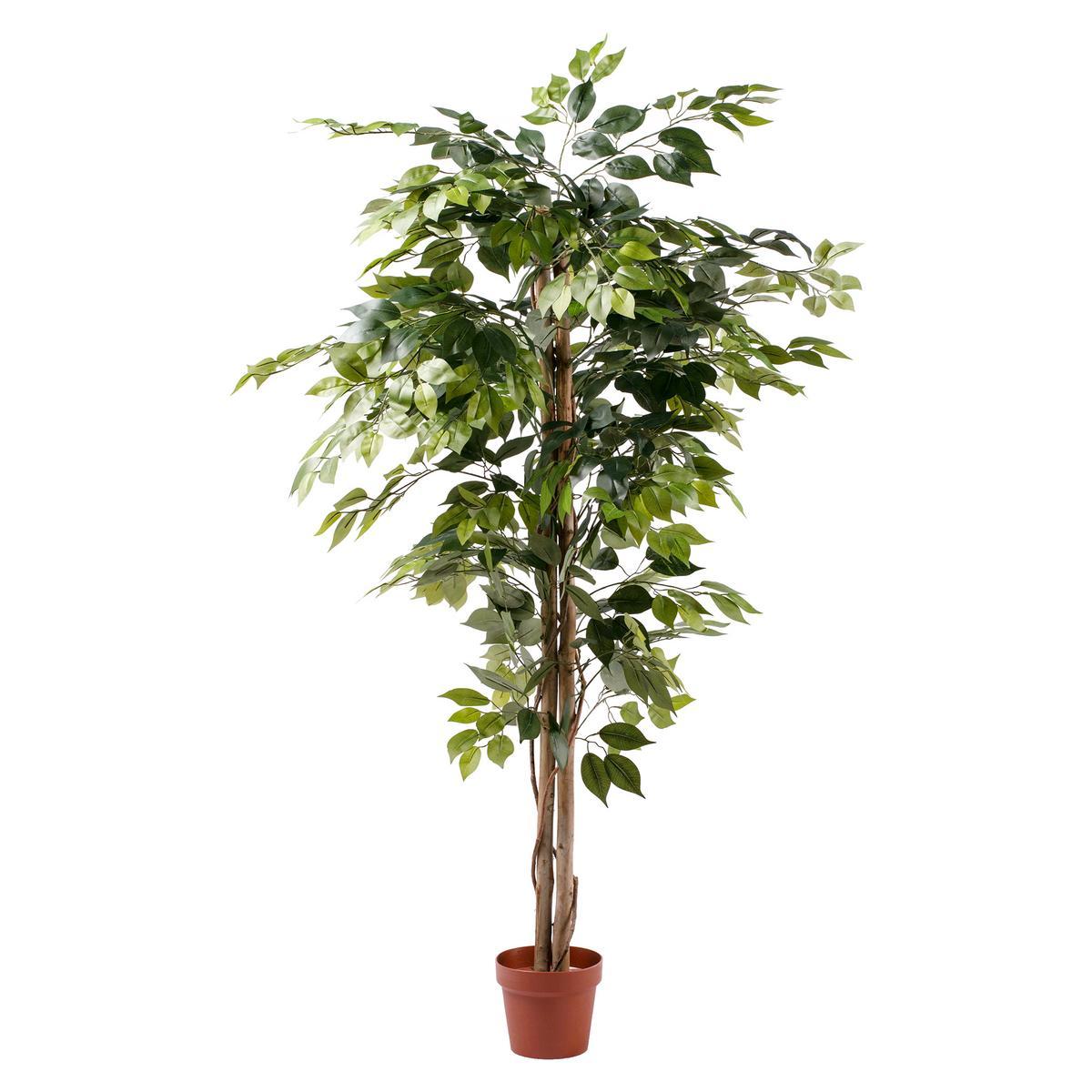 Ficus artificiel - H 150 cm Ficus artificiel - H 150 cm