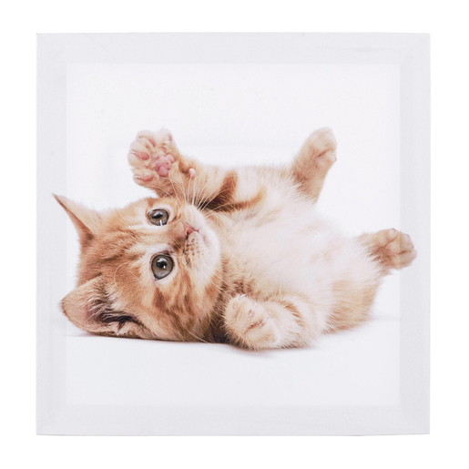 Toile Chien Chat 28 X 28 Cm Differents Modeles Toiles Imprimees La Foir Fouille Toile Chien Chat 28 X 28 Cm Differents Modeles Toiles Imprimees La Foir Fouille
