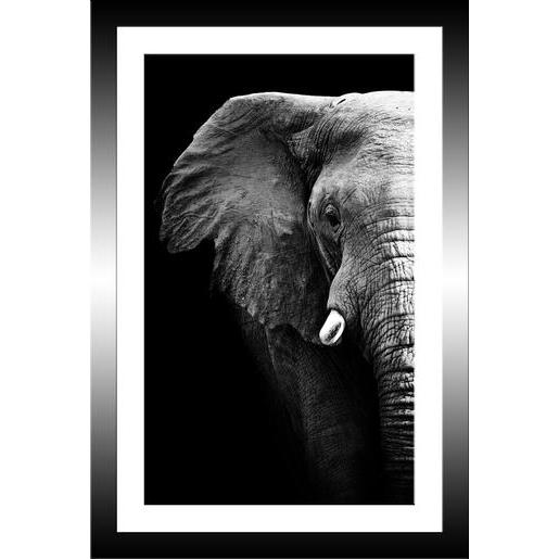 Tableau Elephant 20 X 30 Cm Images Encadrees La Foir Fouille