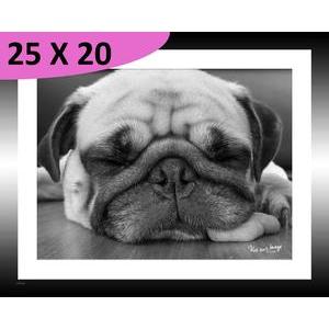 Tableau Chiot au repos - L 20 x P 1.5 x l 25 cm - Noir, blanc - VUE SUR IMAGE