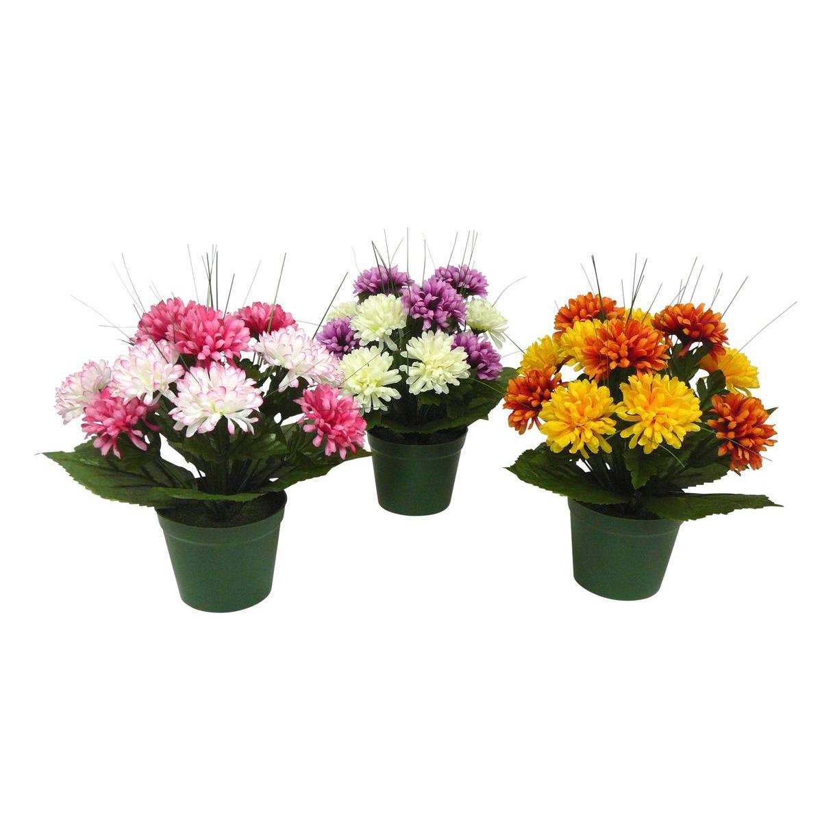 Potée de chrysanthèmes - Plastique - 10 x H 33 cm - Différents coloris Potée de chrysanthèmes - Plastique - 10 x H 33 cm - Différents coloris