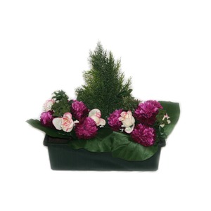 Jardinière de roses + chrysanthèmes + sapin - Hauteur 40 cm - rose fushia