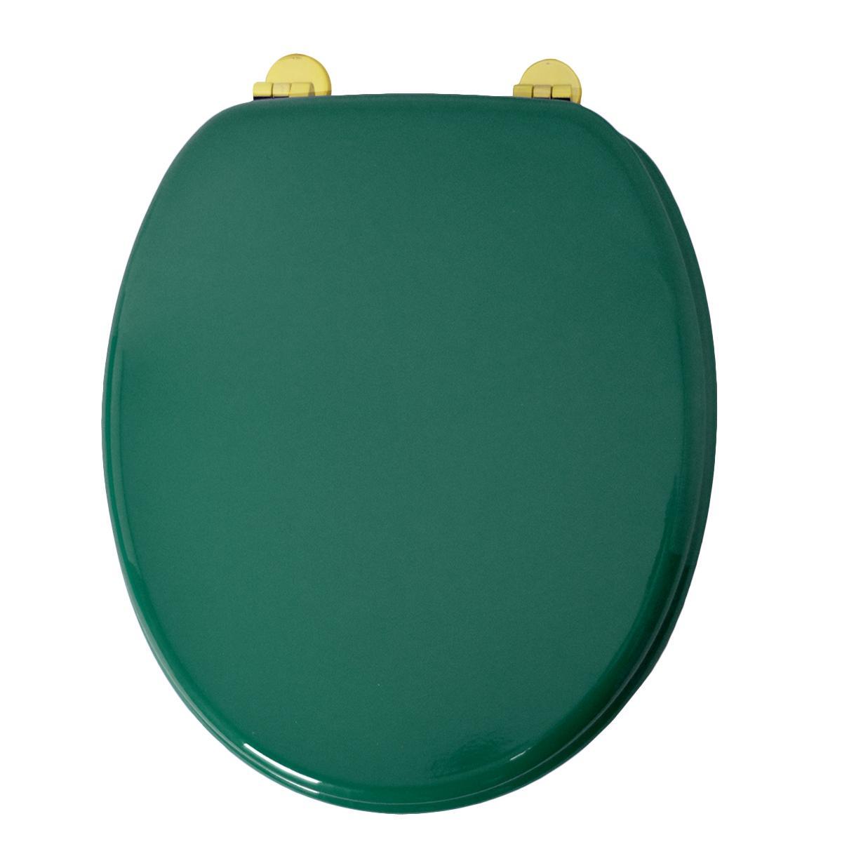 Abattant sale wc vert