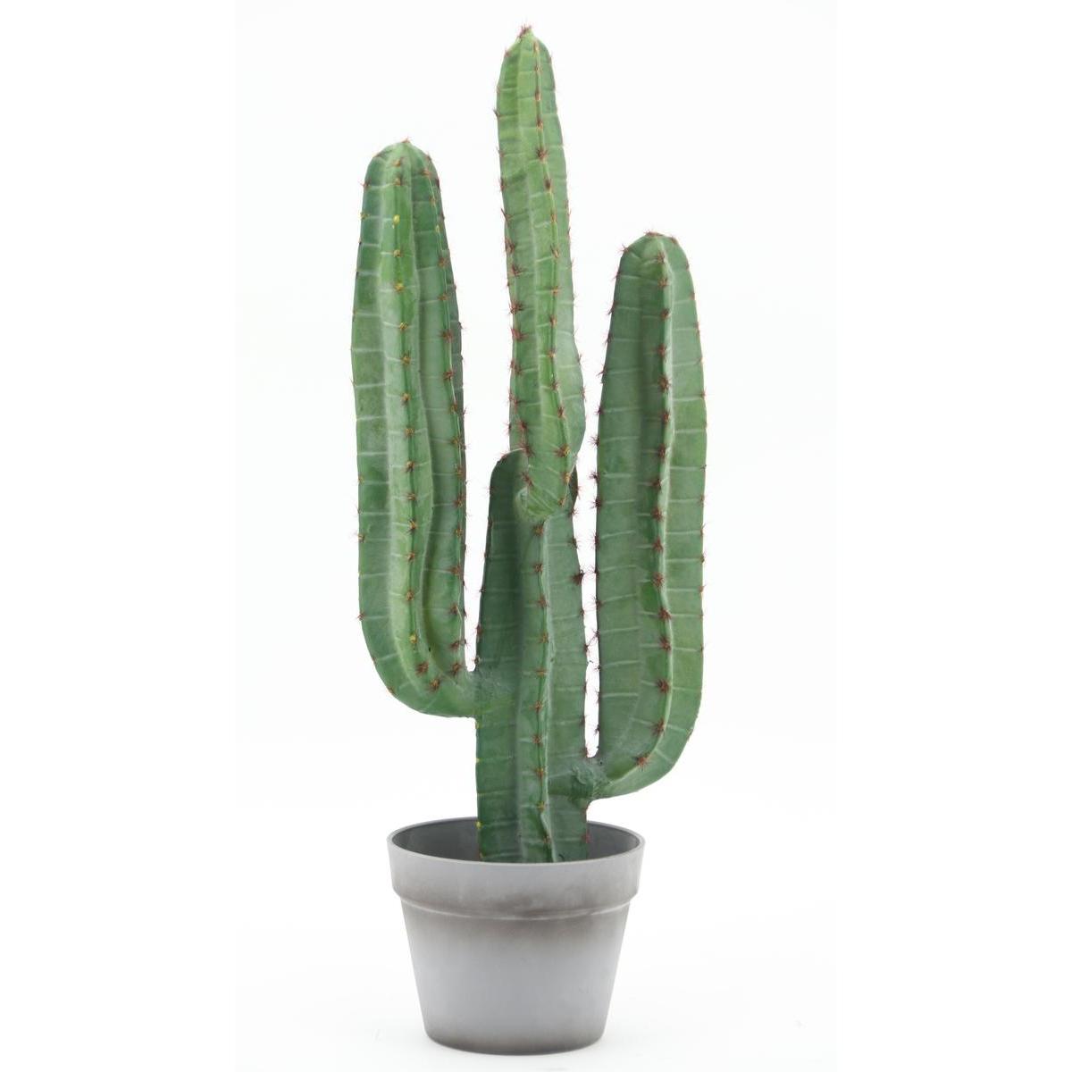 Cactus 4 branches en pot - H 70 cm