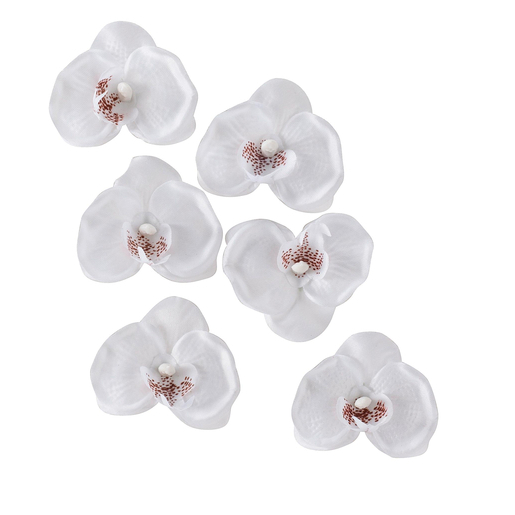 Sachet de 6 orchidées - Plastique - 6 x H 5 cm - Blanc Sachet de 6 orchidées - Plastique - 6 x H 5 cm - Blanc