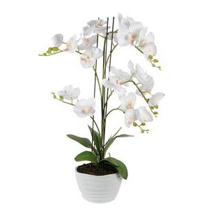 Orchidée en coupe - Céramique, plastique et polyester - Hauteur 64 cm - Blanc