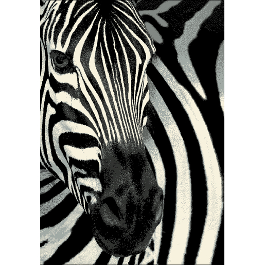 Tapis zèbre - Polypropylène - Noir Blanc - Tapis déco | La Foir'Fouille
