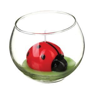 Bougie coccinelleavec photophore verre assortis