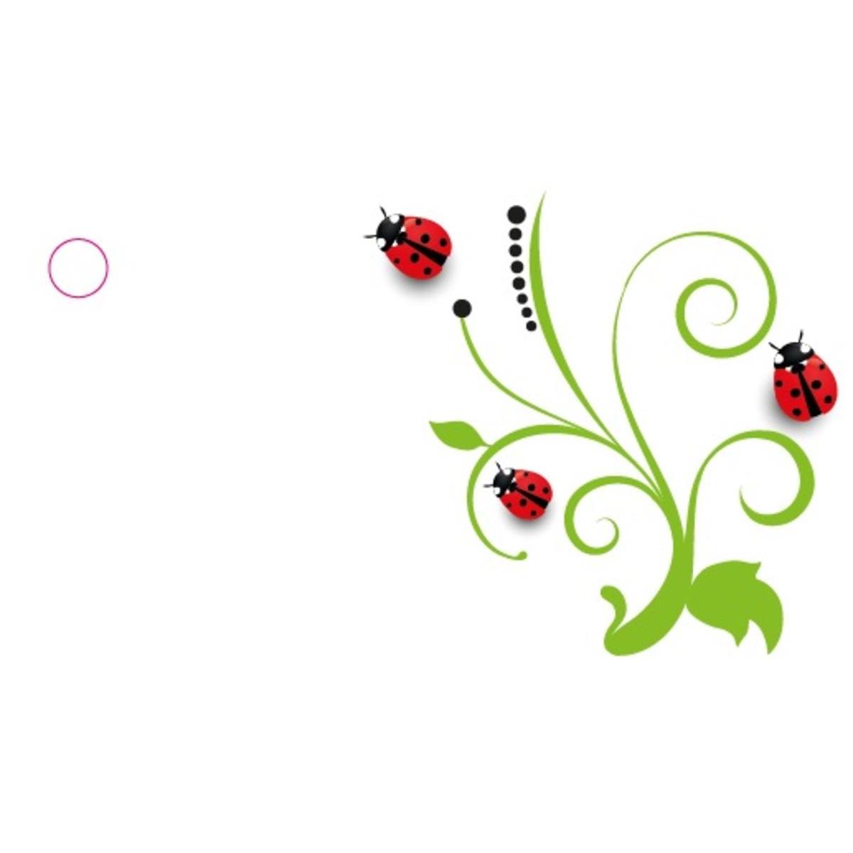 10 étiquettes coccinelles 10 étiquettes coccinelles