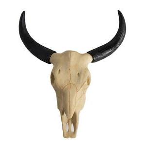 Crâne Buffalo naturel - Beige, noir