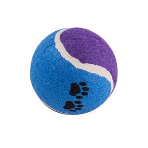 Balles de tennis pour chien couleurs vives Carrefour : les 3