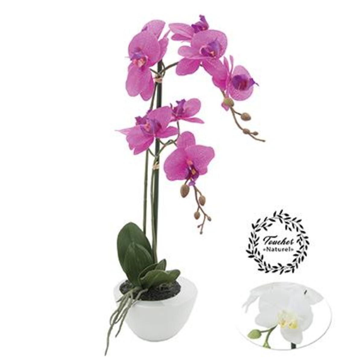 Orchidée 2 branches coupe céramique - H 60 cm