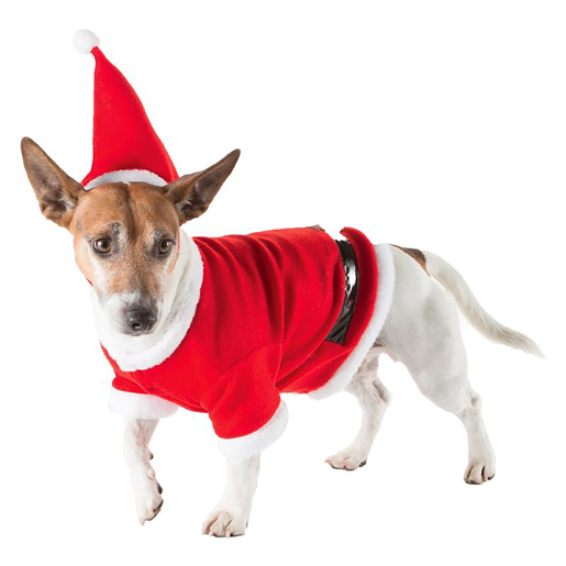 Costume De Noel Pour Chien S M Ou L Chaussette De Noel Et Deguisement La Foir Fouille