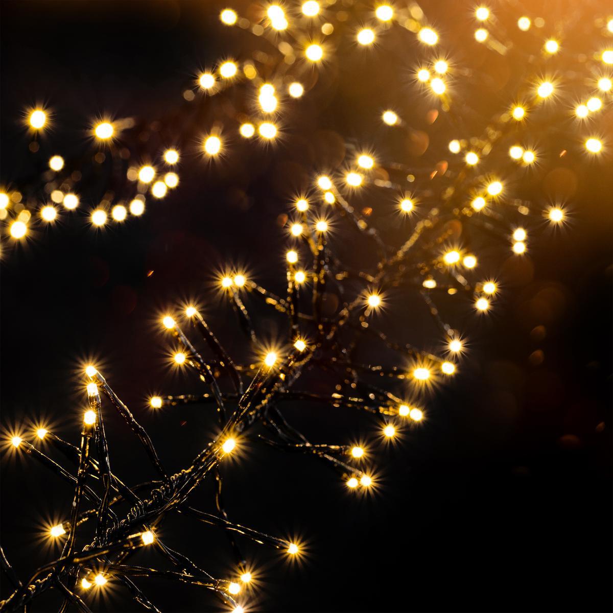 Guirlande grappe 288 LED - Blanc chaud