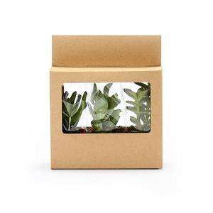 Trio de véritables plantes - CULTIVA