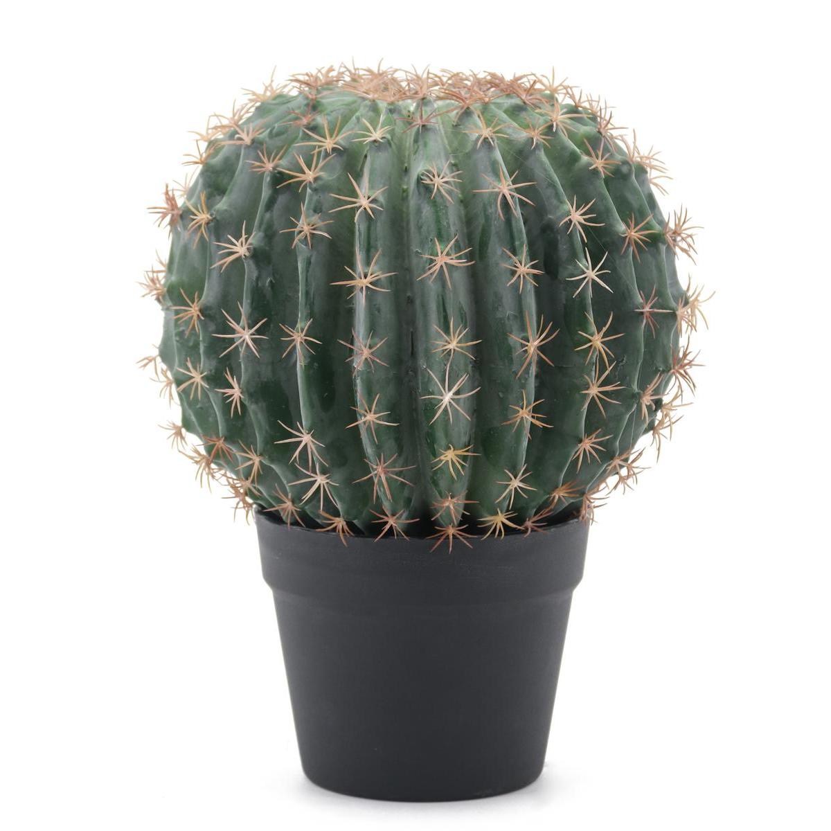 Cactus boule en pot - H 33 cm Cactus boule en pot - H 33 cm