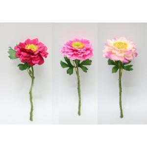 TIGE GERBERA H28CM 3ASS