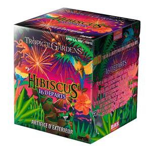 Feu d'artifice Hibiscus tropical K3 - 16 départs - Multicolore
