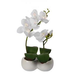 Lot de 2 orchidées en coupe - Céramique, plastique et polyester - Hauteur 26 cm - Blanc et fuchsia