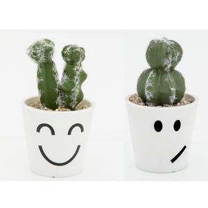Cactus en pot plastique SMILE - H 14 cm