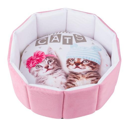 panier chat la foir'fouille