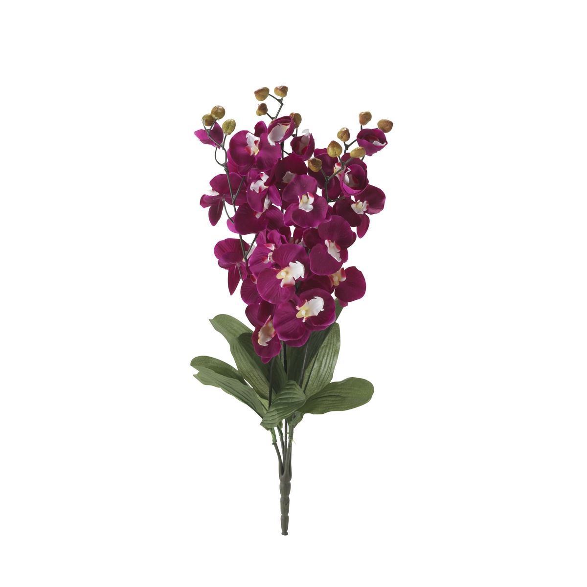 Bouquet piquet de 5 orchidées - Hauteur 73 cm - Rose foncé