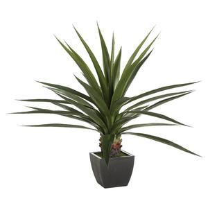 Plante verte en pot - H 130 cm